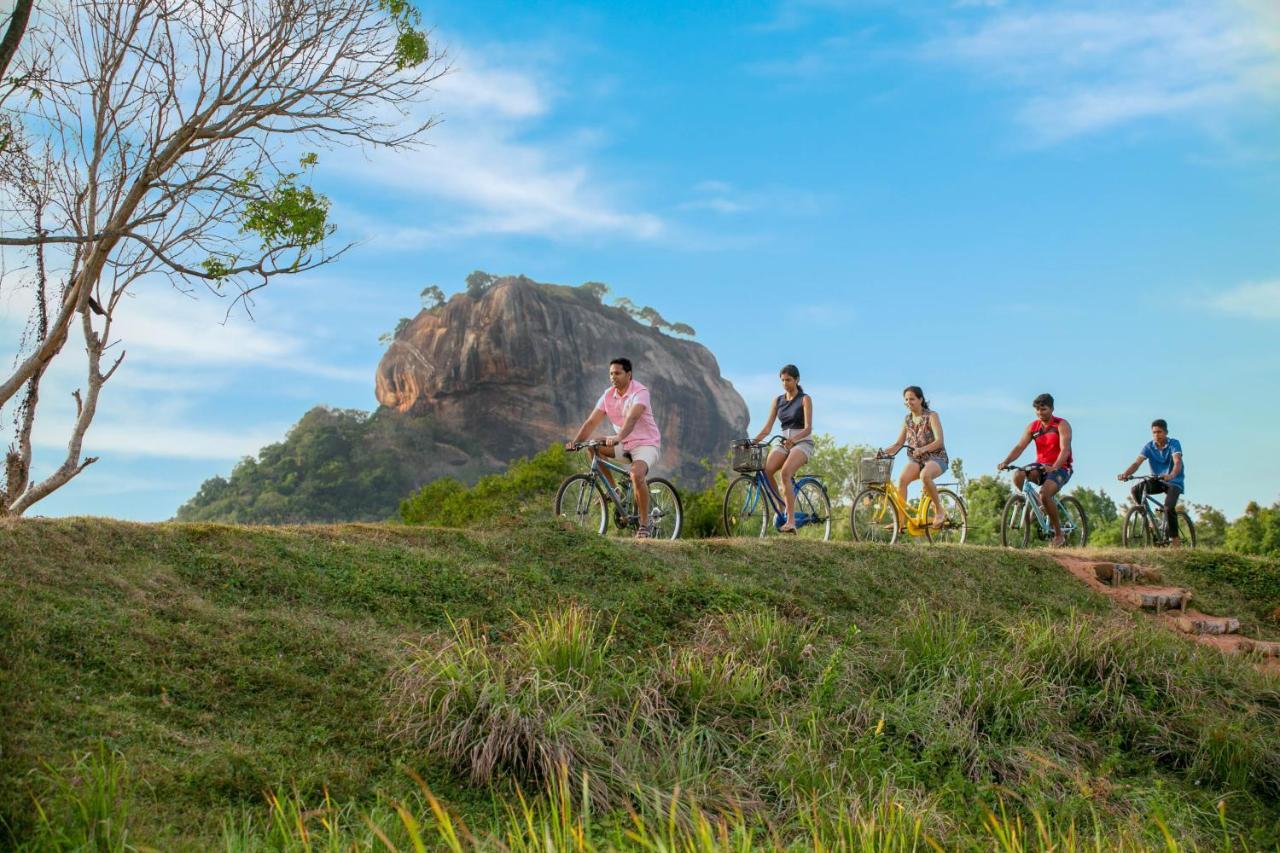 Sigiriya King'S Resort Kültér fotó