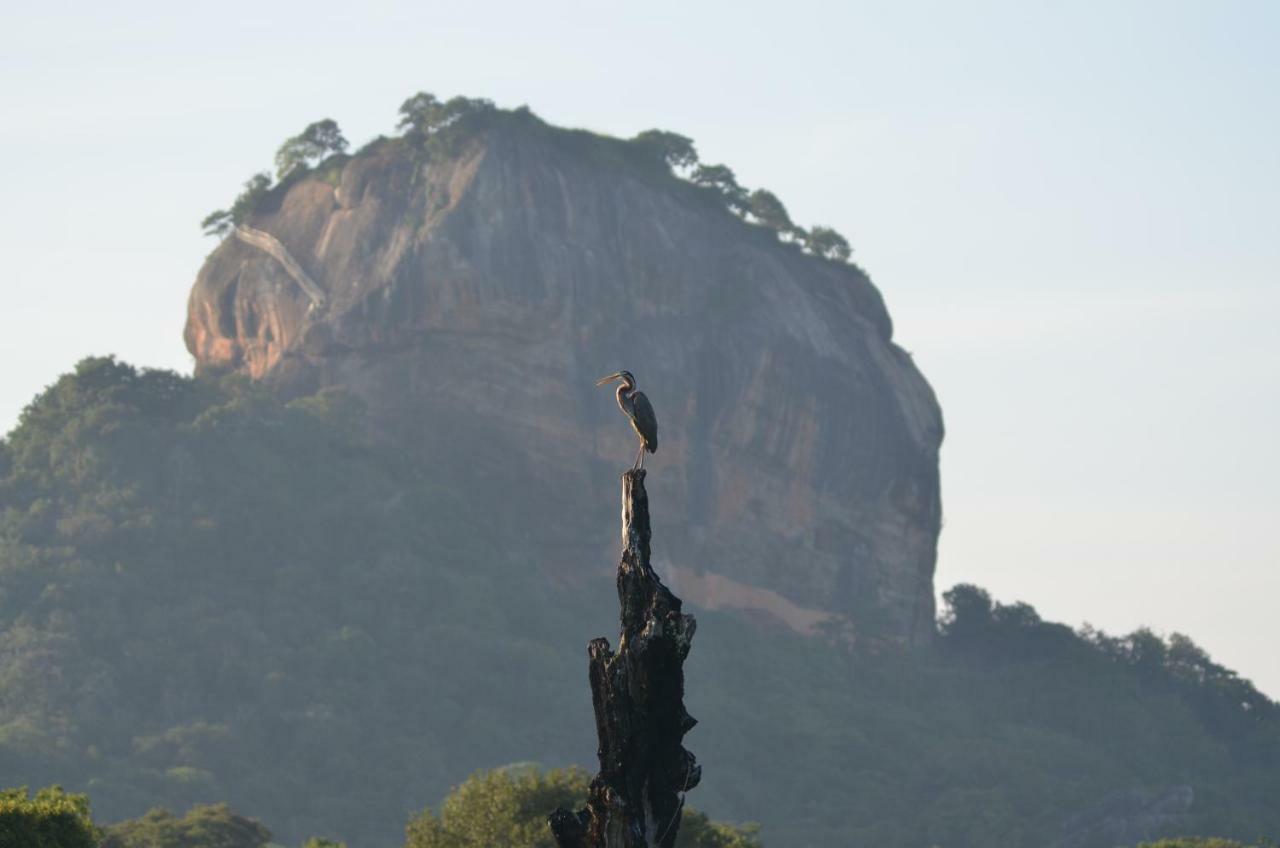 Sigiriya King'S Resort Kültér fotó