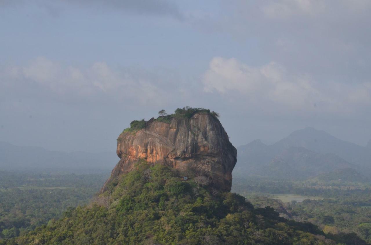 Sigiriya King'S Resort Kültér fotó