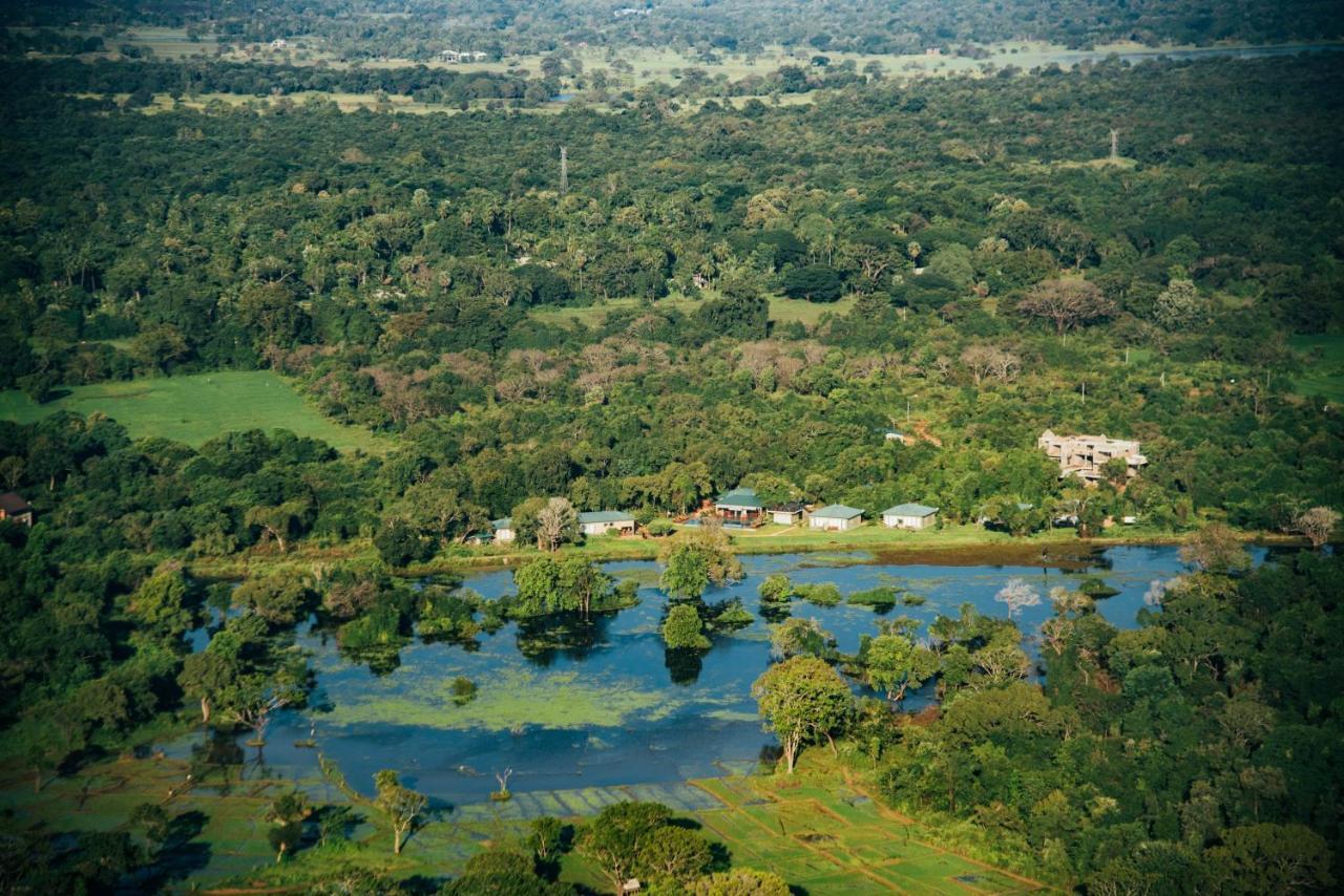 Sigiriya King'S Resort Kültér fotó