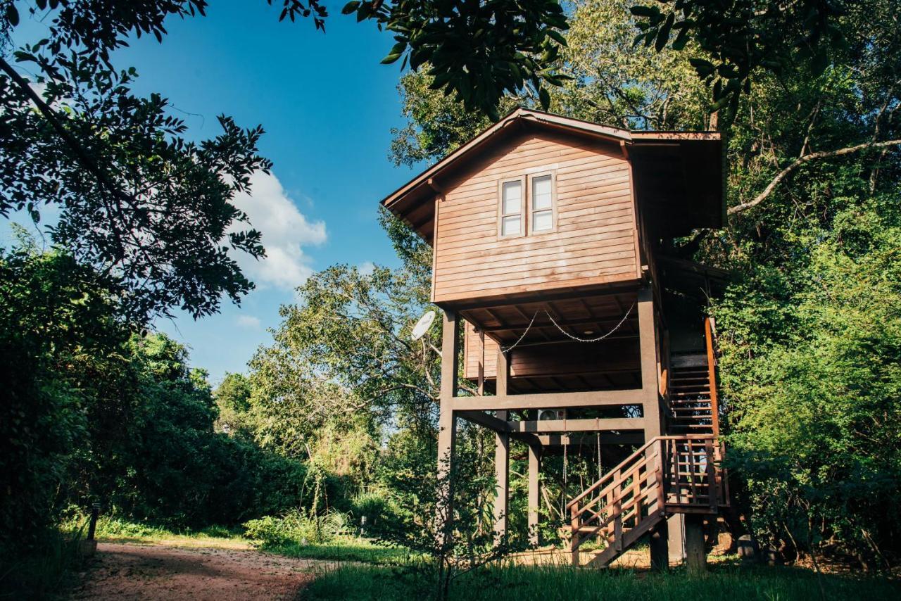 Sigiriya King'S Resort Kültér fotó
