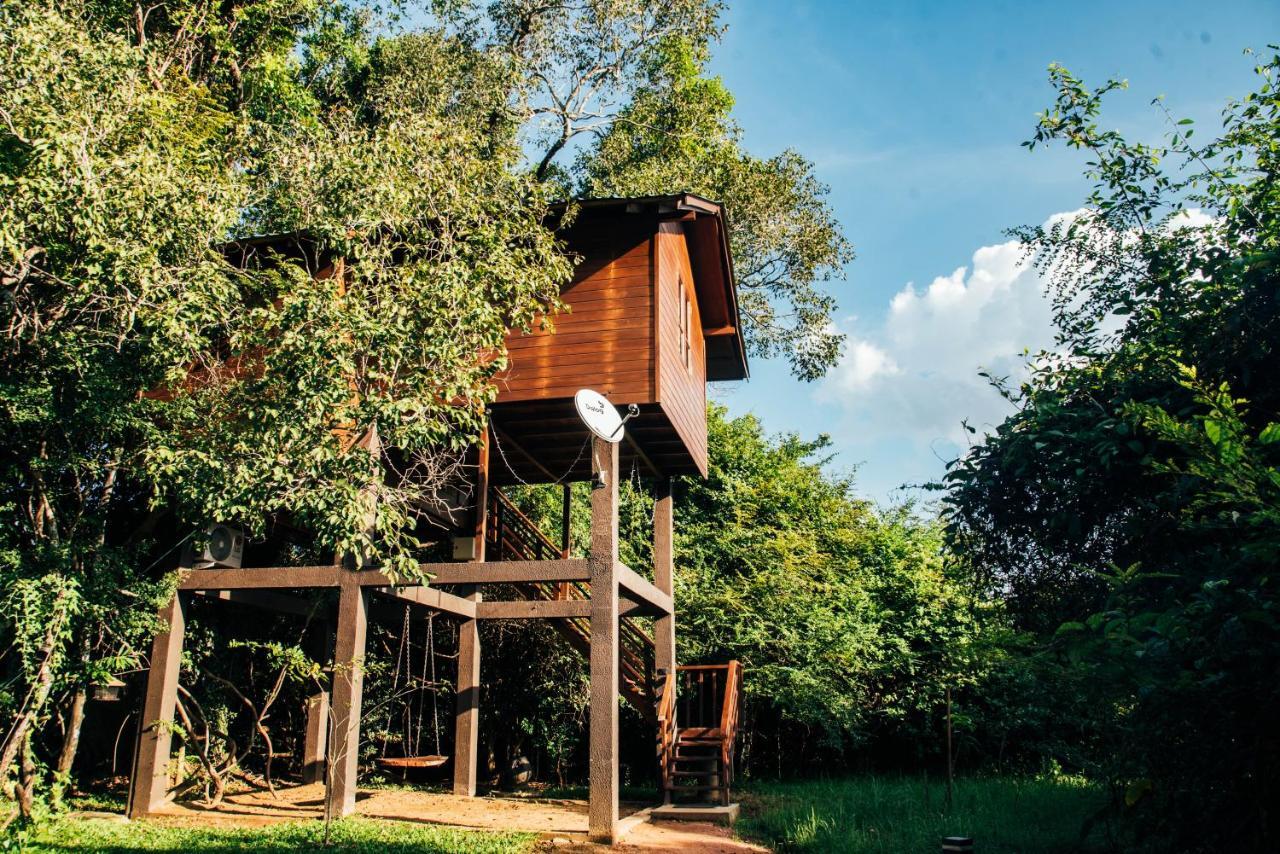 Sigiriya King'S Resort Kültér fotó